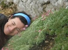 Klik za večjo sliko